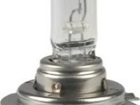 Bec incandescent - HERTH+BUSS ELPARTS 89901265