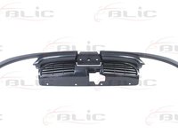 Blic grila radiator fara emblema pt peugeot 206