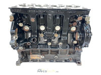 Bloc motor ambielat Renault Master III (2003-)