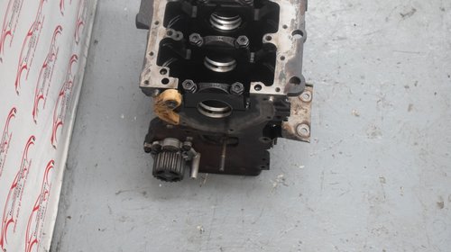 Bloc motor VW Passat B6 1.9 TDI BLS 496