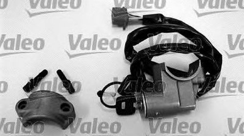 Blocaj volan DAF F 2500 VALEO 256498