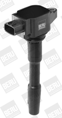 Bobina de inductie BorgWarner (BERU) DAC