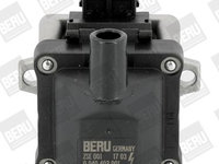 Bobina de inductie BorgWarner (BERU) ZSE001