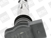 Bobina de inductie BorgWarner (BERU) ZSE043