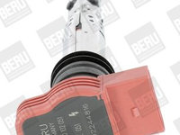 Bobina de inductie BorgWarner (BERU) ZSE051