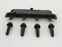 Bobina de inductie Citroen BERLINGO (MF), PEUGEOT 206 hatchback (2A/C), PEUGEOT 206 SW (2E/K) - TRISCAN 8860 28015