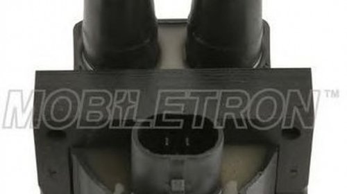 Bobina de inductie FIAT DOBLO Cargo 223 MOBIL