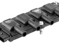 Bobina de inductie FIAT PUNTO EVO (199) (2008 - 2016) BERU ZS079