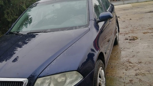 Boxe Skoda Octavia 2 2006 hatchback 1.9 tdi