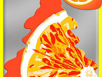 Bradut odorizant Orange Juice portocala WUNDER BAUM
