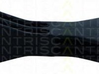 Brat/bieleta suspensie, stabilizator VW GOLF Mk IV (1J1), VW GOLF Mk IV Estate (1J5), VW NOVO FUSCA (9C1, 1C1) - TRISCAN 8500 29673