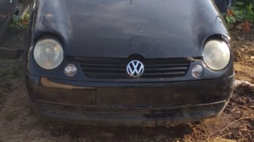 Broasca usa dreapta fata Volkswagen Lupo 2001