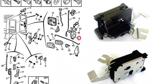 Broasca usa dreapta spate ducato an fab 96-06