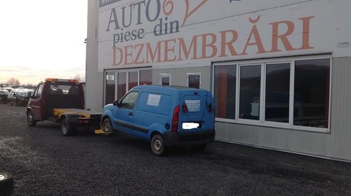 Broasca usa dreapta spate Renault Kangoo 2005