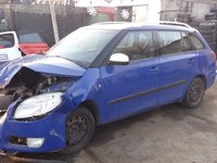 Broasca usa dreapta spate Skoda Fabia II 2009 break 1.4 TDI