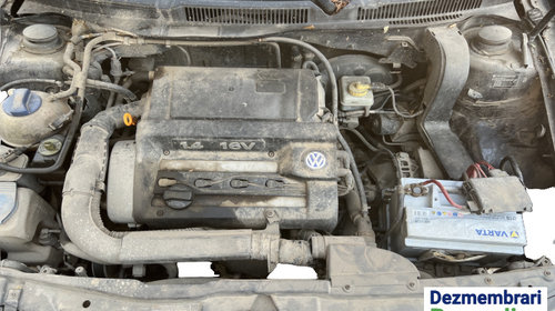 Broasca usa fata dreapta Volkswagen VW Golf 4 [1997 - 2006] Hatchback 5-usi 1.4 MT (75 hp) Cod motor AXP