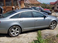 Broasca usa spate Audi A6 C6 2007 berlina