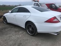 Broasca usa stanga fata Mercedes CLS W219 2005 berlina 3.5