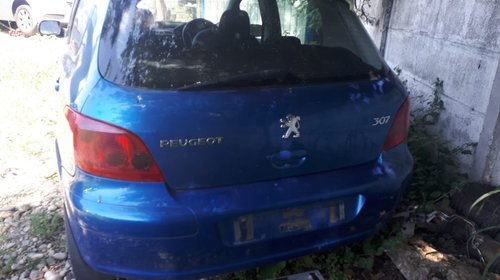 Broasca usa stanga spate Peugeot 307 2002 hatchback 1.6
