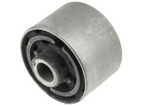 BUCSA FUZETA, HYUNDAI SANTA FE 00-06 /SPATE, SPATE BUSHING/