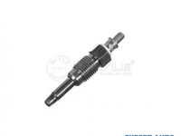 Bujie incandescenta Audi AUDI 80 (8C, B4) 1991-1994 0100226173