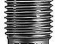 Bujie incandescenta FIAT MAREA Weekend (185) (1996 - 2007) BERU GN970