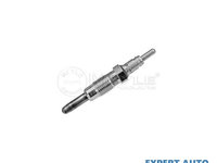 Bujie incandescenta Fiat PUNTO Van (188AX) 2000-2009 #2 0100226391