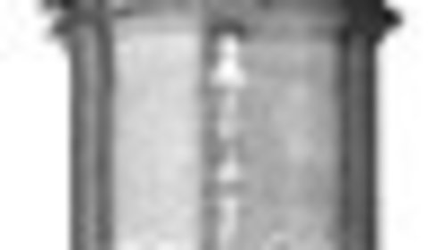 Bujie incandescenta RENAULT LAGUNA I B56 556 
