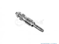 Bujie incandescenta Renault MEGANE Scenic (JA0/1_) 1996-2001 0100226237