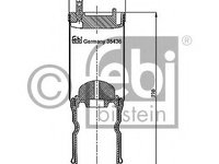 Burduf suspensie cabina sofer 35436 FEBI BILSTEIN