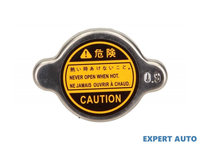 Buson radiator Nissan MAXIMA QX (A33) 1999-2003 #2 00000A00013
