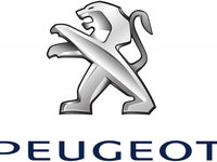 Buson umplere ulei 1180F9 PEUGEOT pentru Peugeot 5008 CitroEn Berlingo Peugeot 308 Peugeot 206 Peugeot 406 Peugeot 306 Peugeot 307 CitroEn Jumper CitroEn Relay Peugeot 807 Peugeot 1007 Peugeot 107 Toyota Aygo Peugeot 207 Peugeot Expert Peugeot 3008