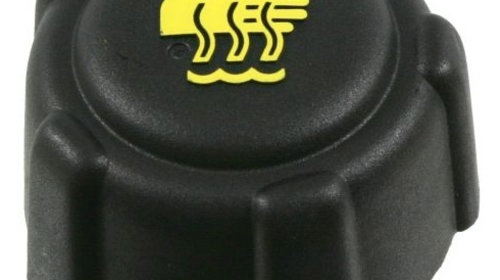 Buson Vas Expansiune Mtr Renault Clio Symbol 