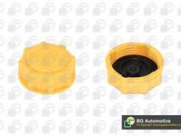 Buson,vas expansiune OPEL ASTRA G Combi (F35) (1998 - 2009) BGA CC3045 piesa NOUA