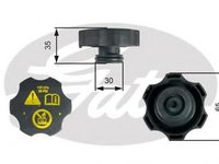 Buson,vas expansiune OPEL ZAFIRA B (A05), VAUXHALL ZAFIRA Mk II (B) (M75), CADILLAC ESCALADE - GATES RC249