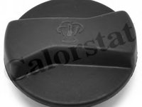 Buson vas expansiune VOLKSWAGEN PASSAT (3B3) - OEM - CALORSTAT by Vernet: RC0082 - Cod intern: W02136176 - LIVRARE DIN STOC in 24 ore!!!