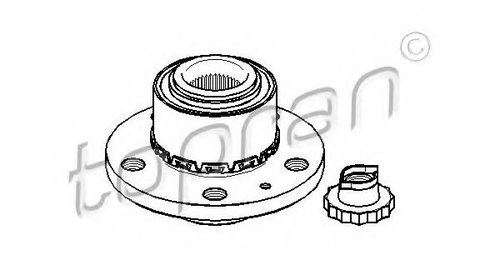 Butuc roata SEAT IBIZA Mk IV (6L1) (2002 - 20