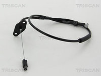Cablu acceleratie TRISCAN 8140 43310