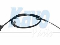 Cablu, frana de parcare HYUNDAI LANTRA Mk II combi (J-2), HYUNDAI AVANTE II (J-2) - KAVO PARTS BHC-3083