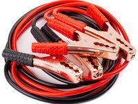 Cabluri Curent Amio 200A 2,5M 01339