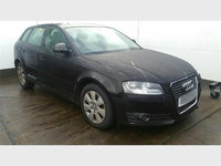 Calaret suport etrier dreapta fata Audi A3 8P facelift 1.9 TDI BLS