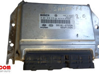 Calculator / ECU Hyundai Santa FE COD 0281010315