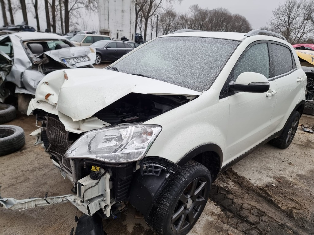 Calculator injectie SsangYong Korando 20
