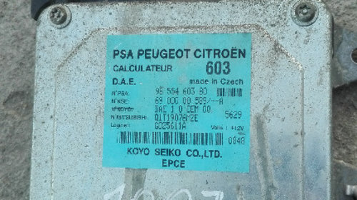 Calculator servo Peugeot 1007 cod : 965546038