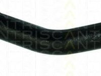 Cap de bara HYUNDAI TUCSON JM TRISCAN 850043111