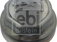 Capac butuc roata roata Producator FEBI BILSTEIN 07594