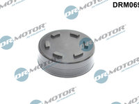 Capac conector, bolt principal (DRM0697 DRM) AUDI,PORSCHE,SKODA,SPYKER,VW