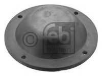 Capac de protectie,butuc roata DAF 85 CF (1998 - 2000) Febi Bilstein 43768