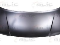 Capota CITROEN JUMPY platou sasiu BU BV BW BX BLIC 6803002036280P