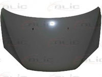 Capota FORD FOCUS II combi DA BLIC 6803002533280P PieseDeTop